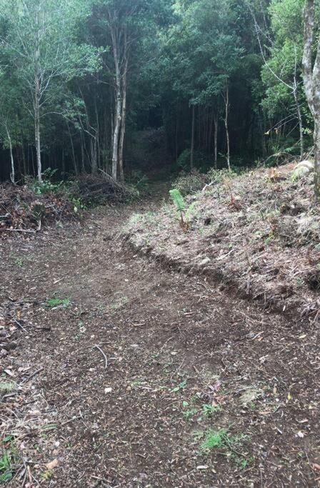 Cabana Cerca Del Aeropuerto Puerto Montt Zewnętrze zdjęcie